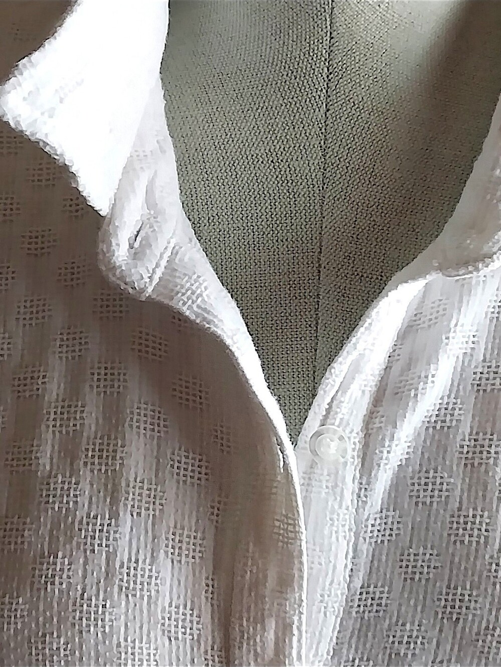 Button-Front Collared Blouse - Picture 3 of 8